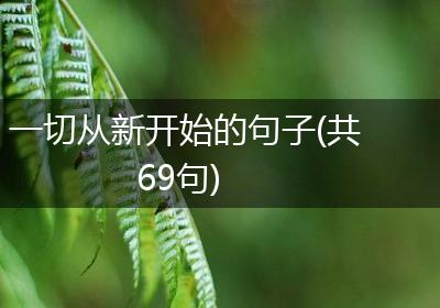 一切从新开始的句子(共69句)