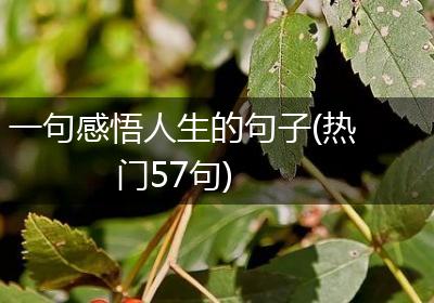 一句感悟人生的句子(热门57句)