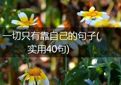一切只有靠自己的句子(实用40句)