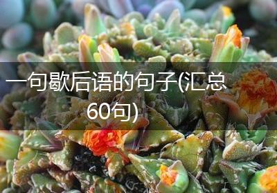一句歇后语的句子(汇总60句)