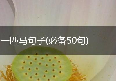 一匹马句子(必备50句)