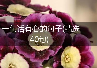 一句话有心的句子(精选40句)