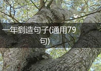 一年到造句子(通用79句)