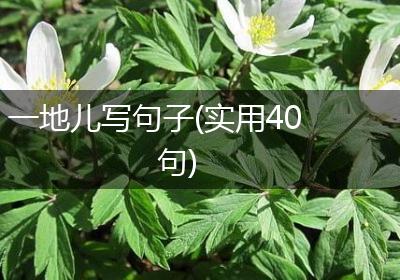 一地儿写句子(实用40句)