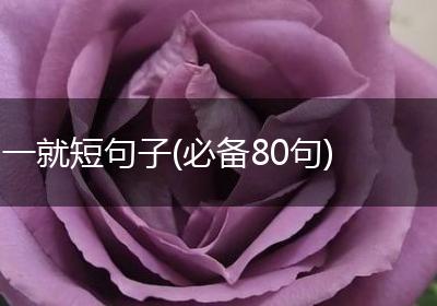 一就短句子(必备80句)