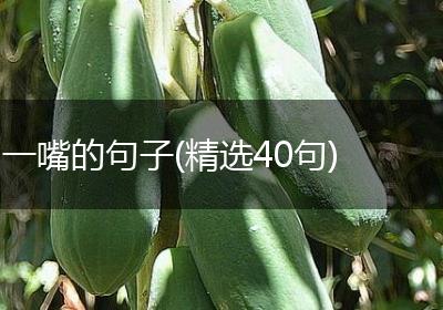 一嘴的句子(精选40句)