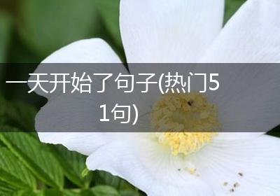 一天开始了句子(热门51句)
