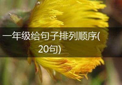 一年级给句子排列顺序(20句)