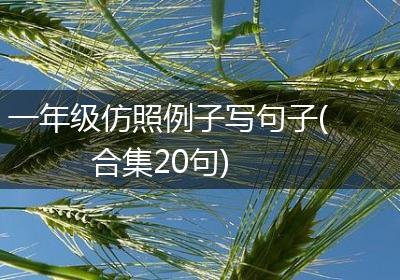 一年级仿照例子写句子(合集20句)