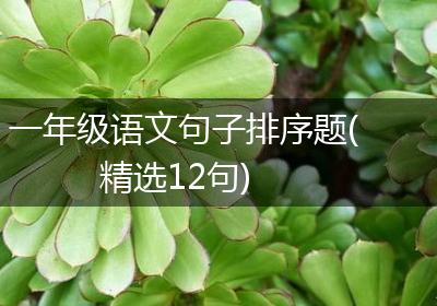 一年级语文句子排序题(精选12句)