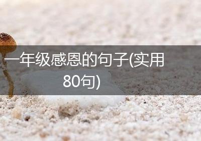 一年级感恩的句子(实用80句)