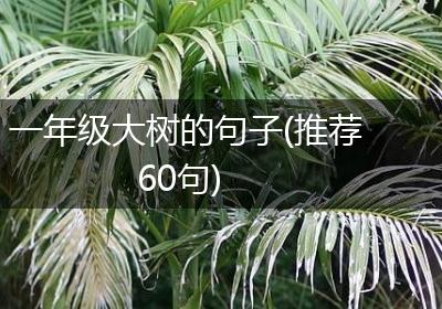 一年级大树的句子(推荐60句)