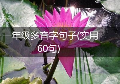 一年级多音字句子(实用60句)