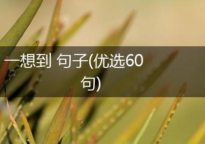 一想到 句子(优选60句)