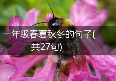 一年级春夏秋冬的句子(共27句)