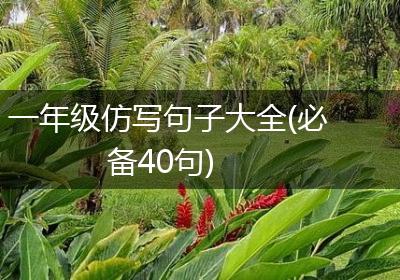 一年级仿写句子大全(必备40句)