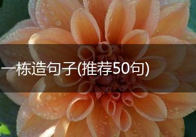 一栋造句子(推荐50句)