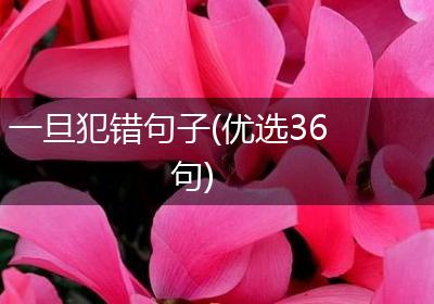 一旦犯错句子(优选36句)