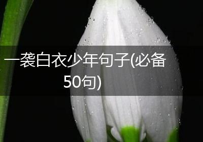 一袭白衣少年句子(必备50句)