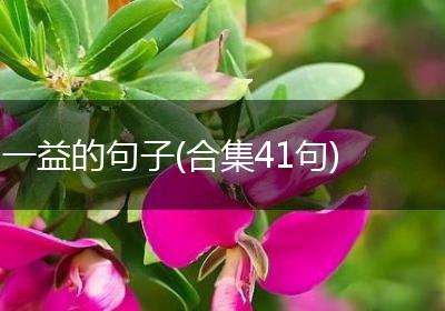 一益的句子(合集41句)