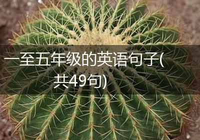一至五年级的英语句子(共49句)