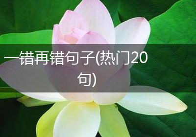 一错再错句子(热门20句)