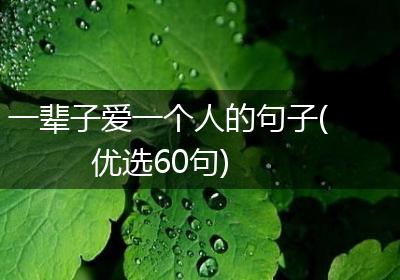 一辈子爱一个人的句子(优选60句)