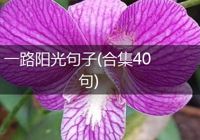 一路阳光句子(合集40句)