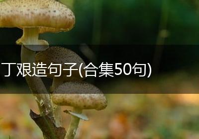 丁艰造句子(合集50句)