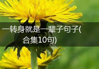 一转身就是一辈子句子(合集10句)