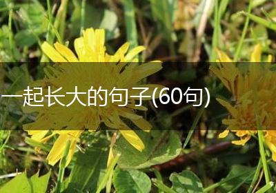 一起长大的句子(60句)