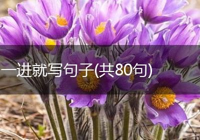 一进就写句子(共80句)