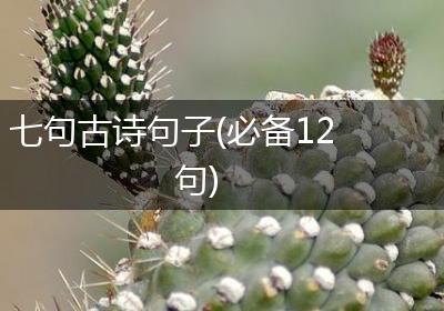 七句古诗句子(必备12句)