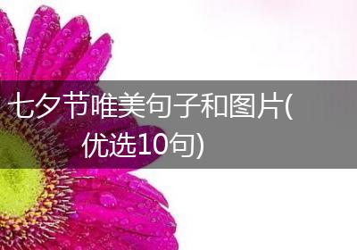 七夕节唯美句子和图片(优选10句)