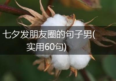 七夕发朋友圈的句子男(实用60句)