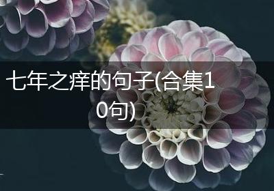 七年之痒的句子(合集10句)