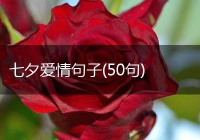 七夕爱情句子(50句)
