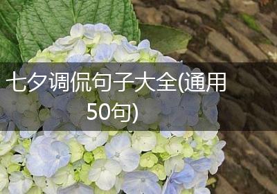 七夕调侃句子大全(通用50句)