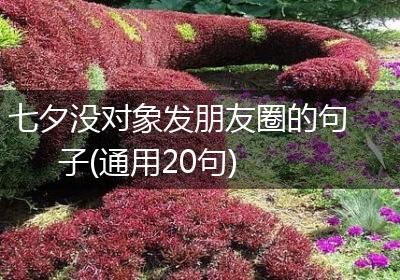 七夕没对象发朋友圈的句子(通用20句)