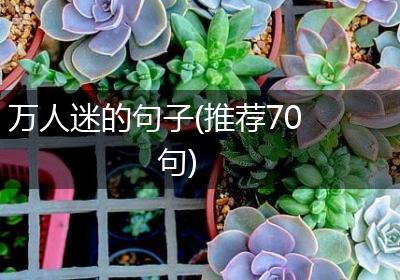 万人迷的句子(推荐70句)