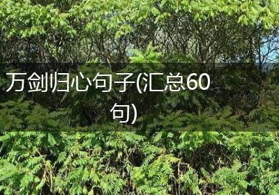 万剑归心句子(汇总60句)