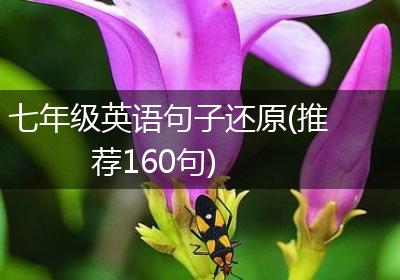 七年级英语句子还原(推荐160句)