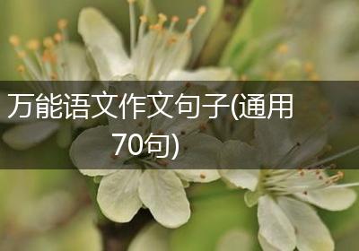万能语文作文句子(通用70句)
