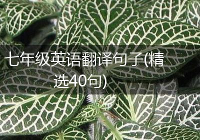 七年级英语翻译句子(精选40句)