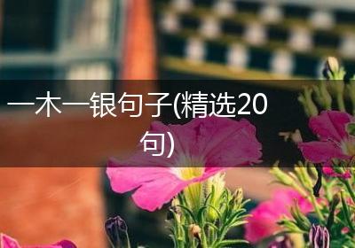 一木一银句子(精选20句)