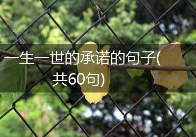 一生一世的承诺的句子(共60句)