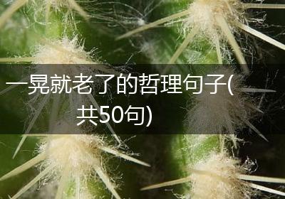 一晃就老了的哲理句子(共50句)