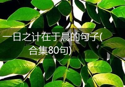 一日之计在于晨的句子(合集80句)