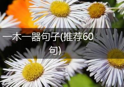 一木一器句子(推荐60句)