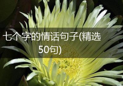 七个字的情话句子(精选50句)